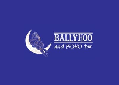 From DIY to Polished: How a Website Redesign Boosted Ballyhoo and BOHO Too’s Sales