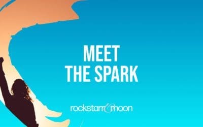 Meet The Spark