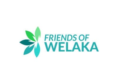 Turning Awareness Into Action: Friends of Welaka’s Digital Success Story